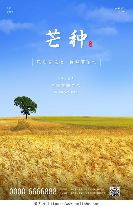 蓝色小清新麦子中国芒种传统节气宣传海报